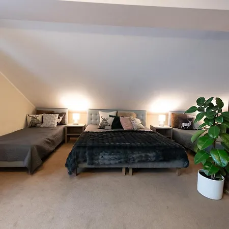 Alpejski Zieleniec Guest house 3*