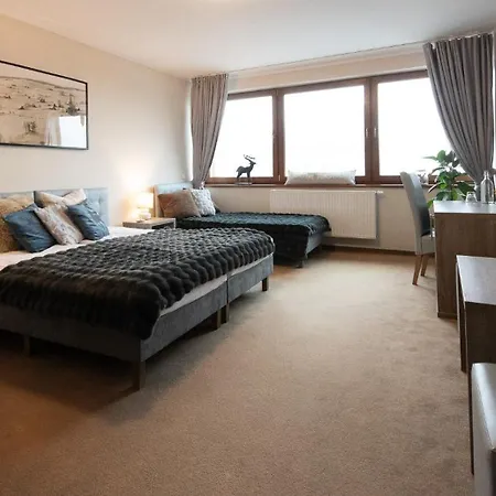 Alpejski Zieleniec Guest house 3*