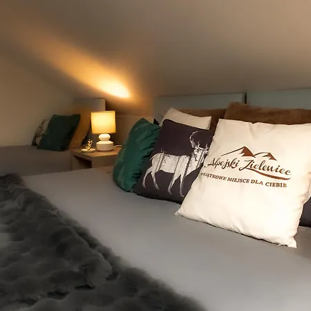 Alpejski Zieleniec Guest house Zieleniec (Klodzko)