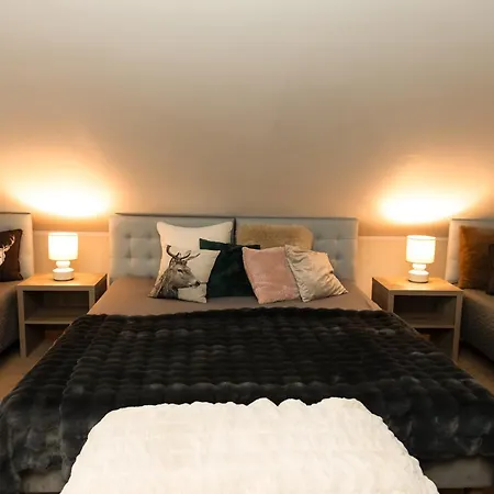 Guest house Alpejski Zieleniec Zieleniec (Klodzko)