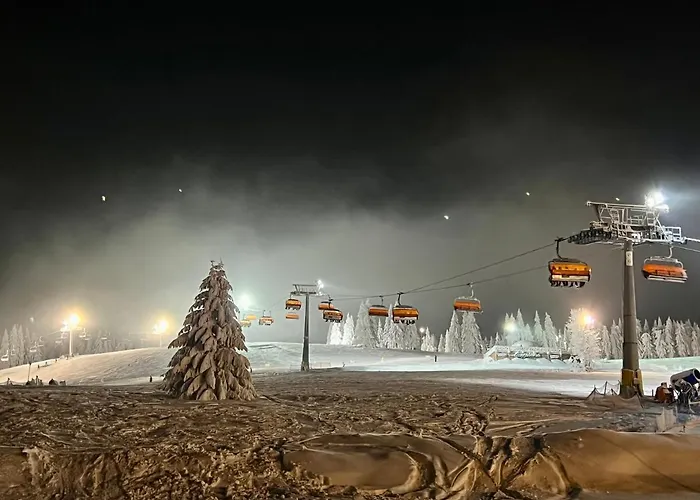 Alpejski 3* Zieleniec (Klodzko)