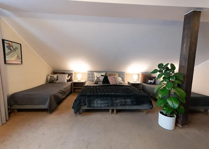 Alpejski Zieleniec Πανσιόν 3*