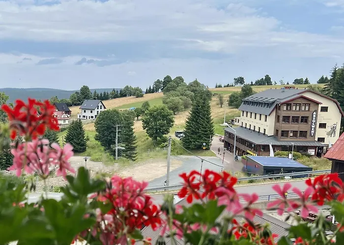 Affittacamere Alpejski